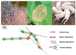 Spontaneous stable rotation of flocking flexible active matter